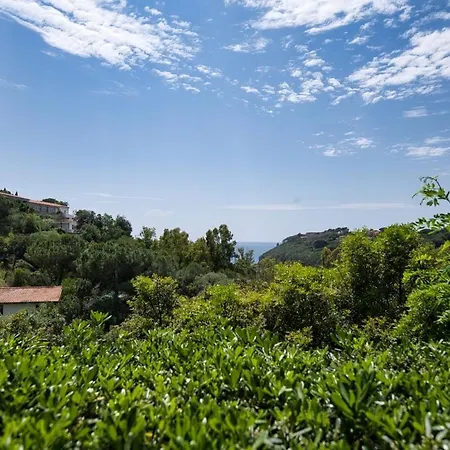 Alloggi Del Mirto A Morcone - Goelba Tatil Evi Capoliveri (Isola d'Elba)